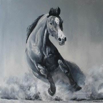 野生の馬 黒と白 黒と白 Oil Paintings
